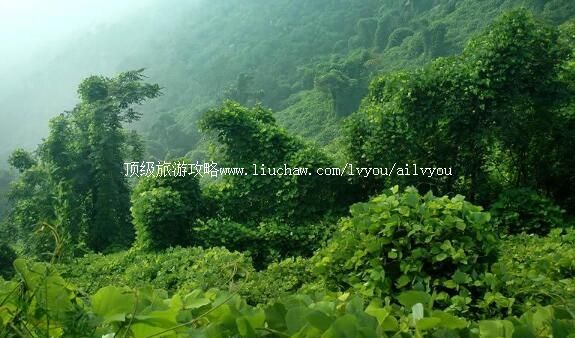 4A�ӱ�ƽɽ����ɽ�������ι���