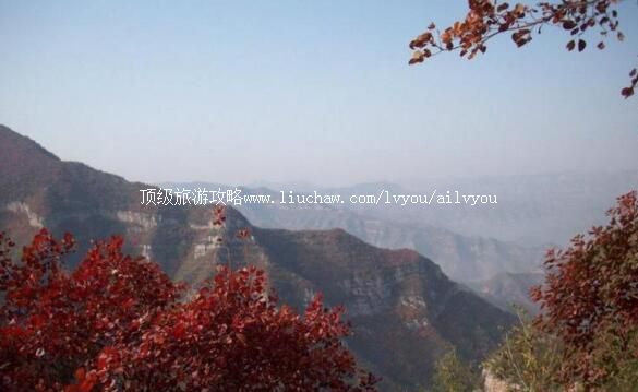 �ӱ������������̬��԰���ι���