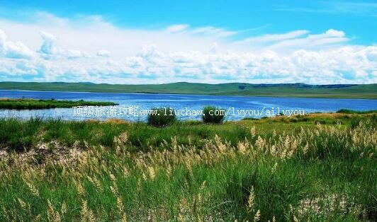 4A���ױ����а�³����ʹ¹�������ι���