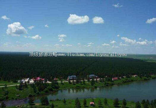 4A���ױ����컨����������ɭ�ֹ�԰���ι���