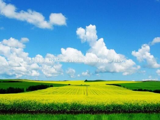 4A�°Ͷ��������ŵ�����ξ������ι���