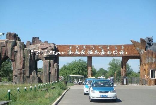 3A海拉尔国家森林公园旅游攻略