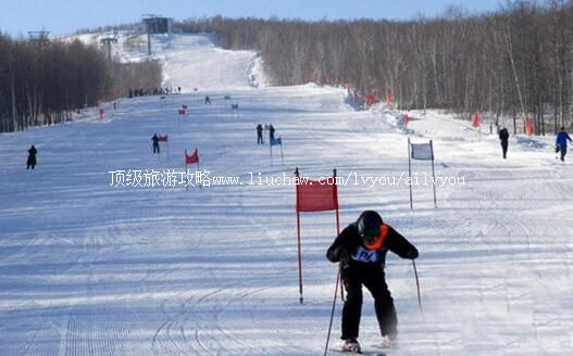 2A牙克石凤凰山滑雪场旅游攻略
