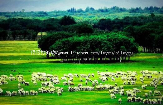 4A������˹�Ļ����δ����ι���