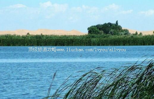 4A������˹���Ǻ����ι���