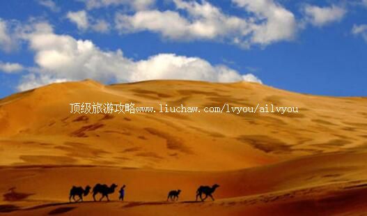 2A库布齐神光响沙旅游攻略