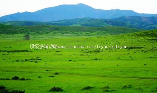 内蒙古赛罕乌拉国家级自然保护区旅游攻略