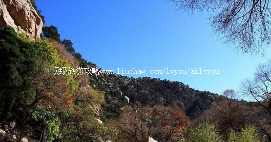 4A��ͷ÷�����羰�����ι���