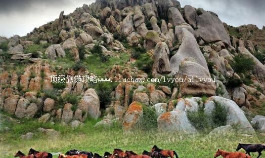 4A��ͷ����˹̩���������ι���