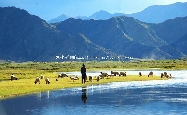 ����������˾����ι���