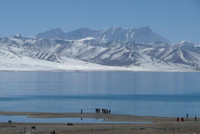 ������ľ�������ι���