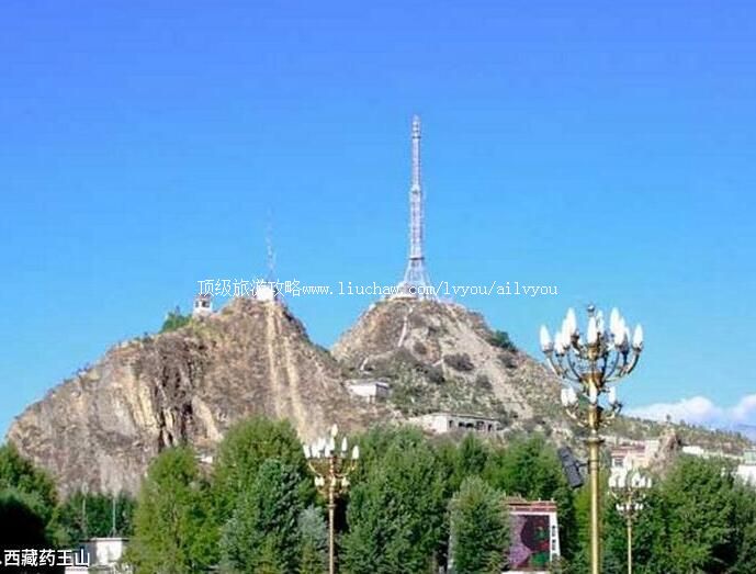 ����ҩ��ɽ���ι���