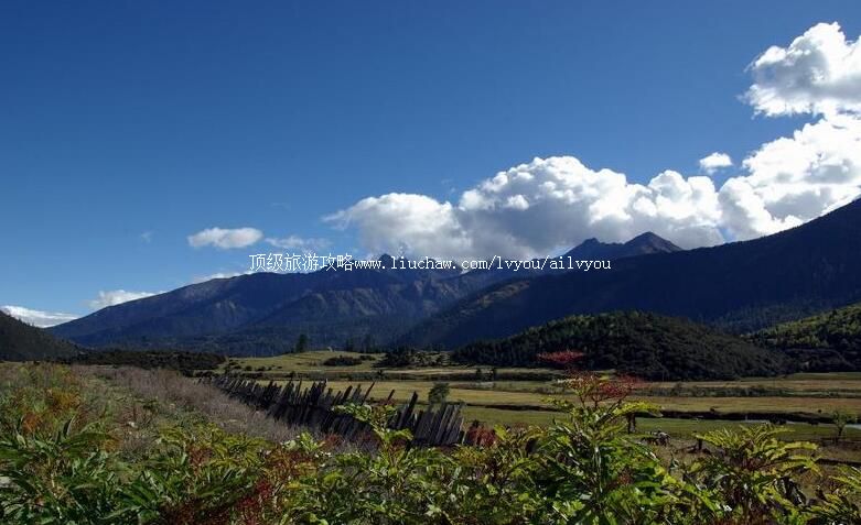 ����ɫ����ɽ���ι���