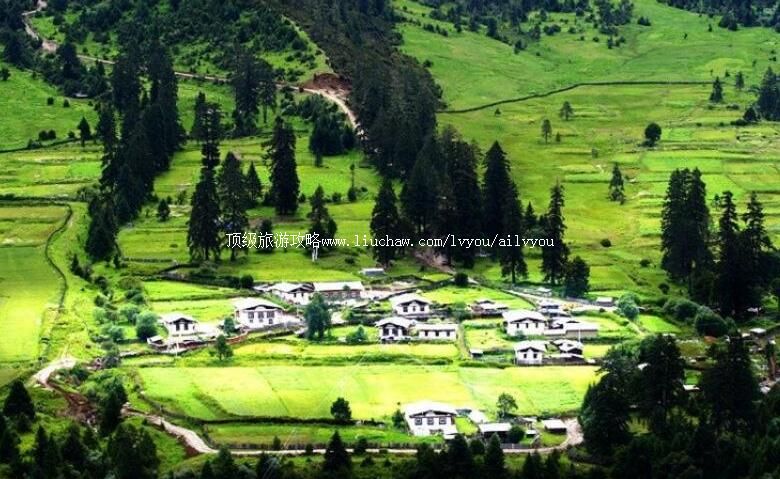 4A������֥³���ֺ��羰�����ι���