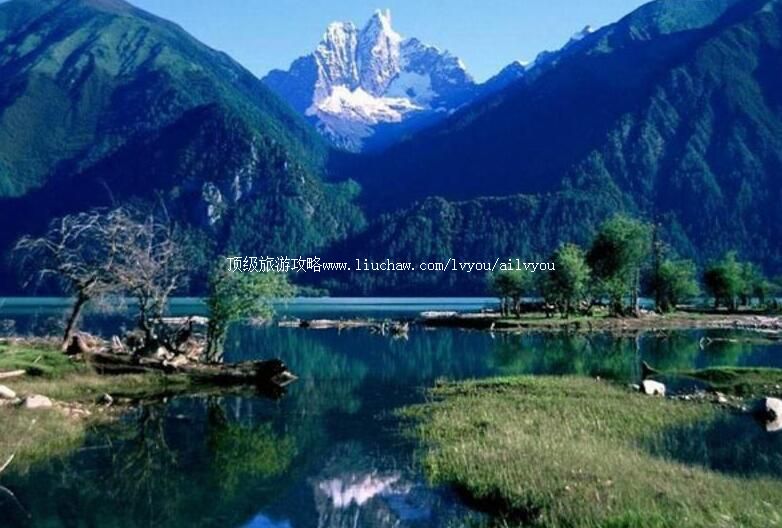 4A������֥���������ι���