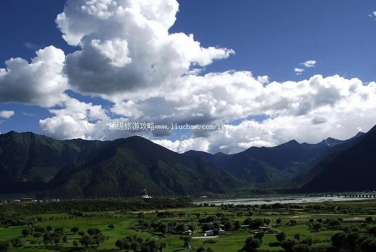 5A������֥��һ�����ι���