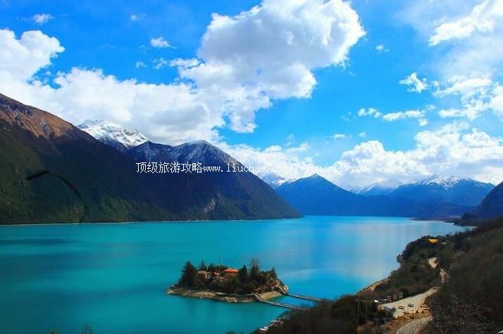 5A������֥���ɴ����ι���