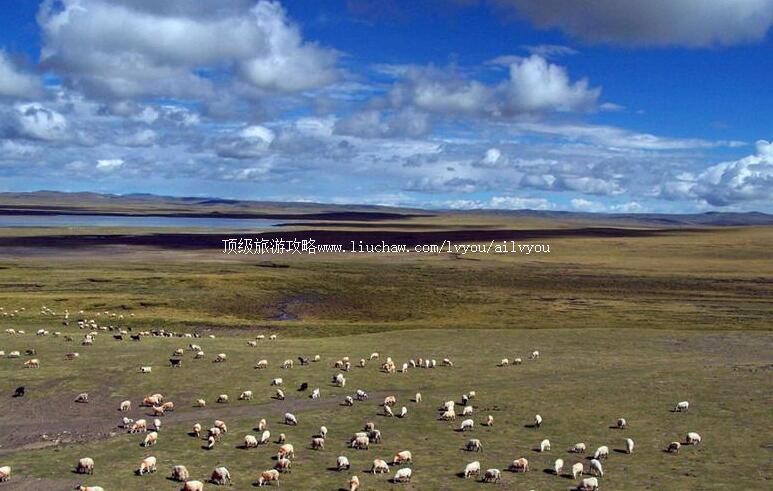 ����Ǽ����ԭ���ι���