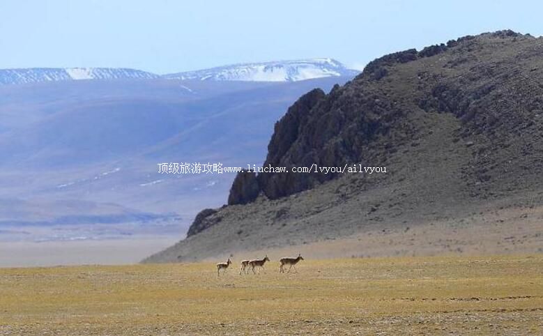 ����Ǽ�����Ҽ���Ȼ���������ι���