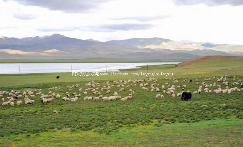 西藏哲古风景区旅游攻略