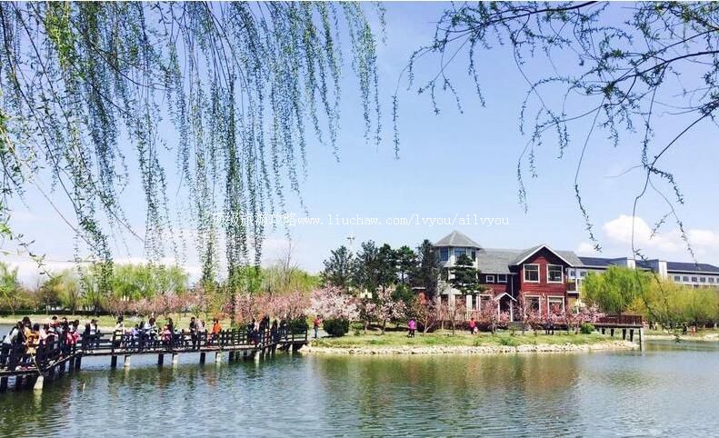 营口熊岳植物园旅游攻略