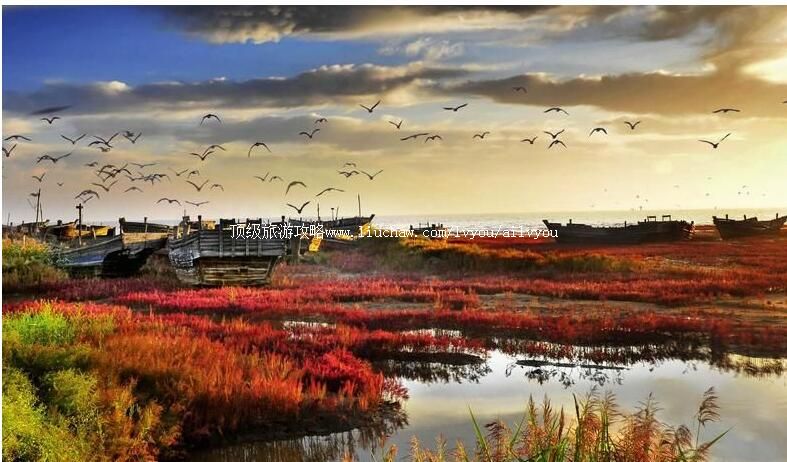 4A������ɽ���Һ���԰���ι���