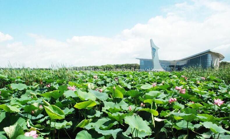 �����ɺӲ�������ι���