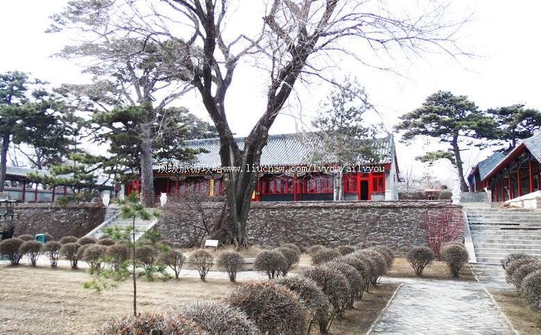 �������ٳ��������ι���