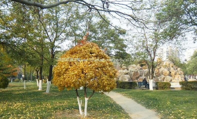 沈阳奉达公园旅游攻略