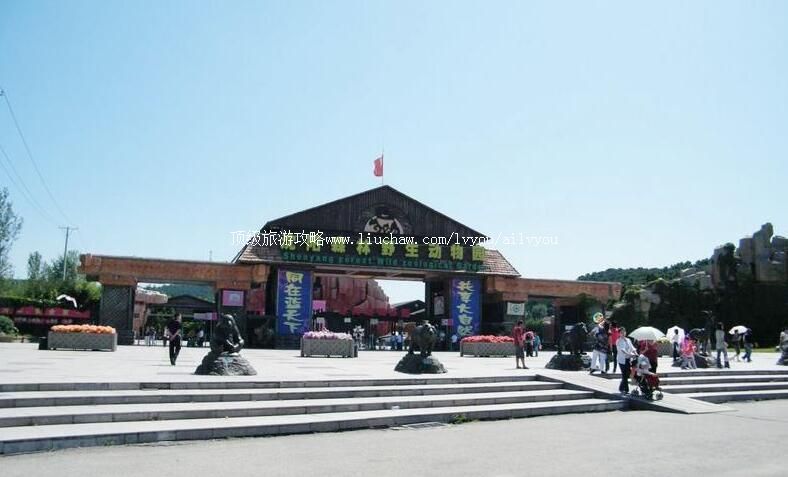 4A沈阳森林动物园旅游攻略