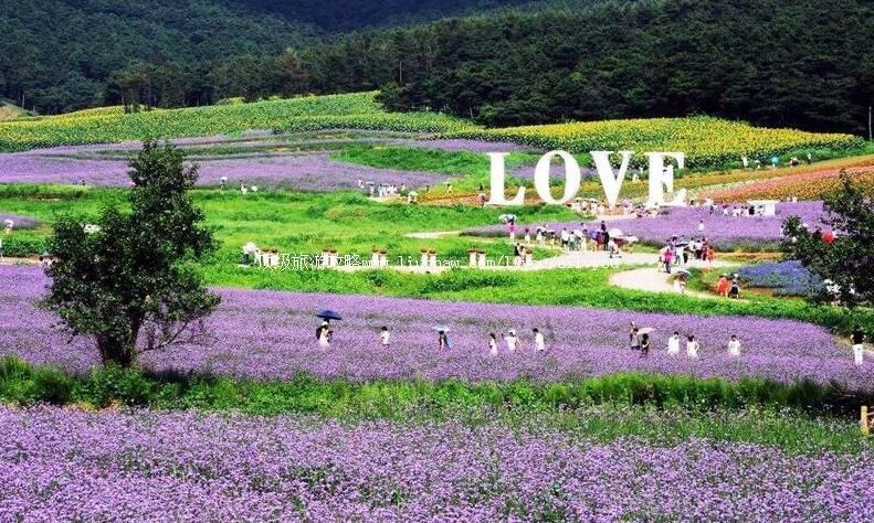 3A��������޹�²�ׯ԰���ι���