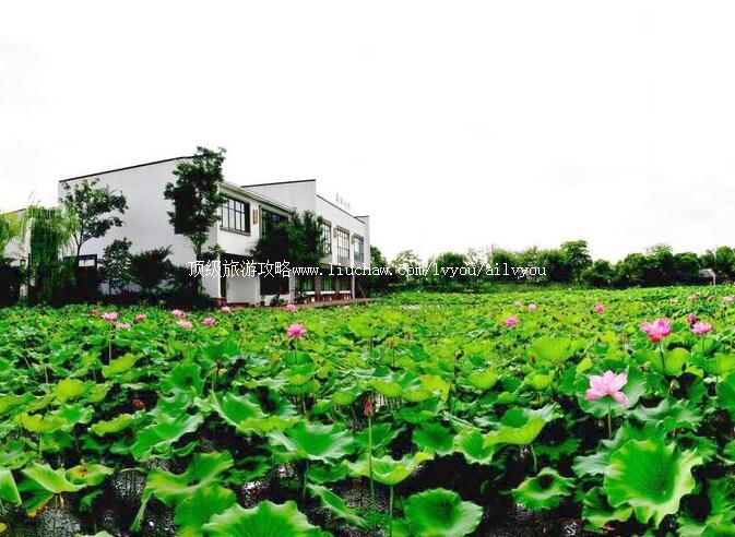 ���ճ��ݺ�԰���ι���