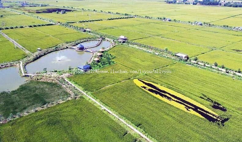 3A�������οռ����⹫԰���ι���