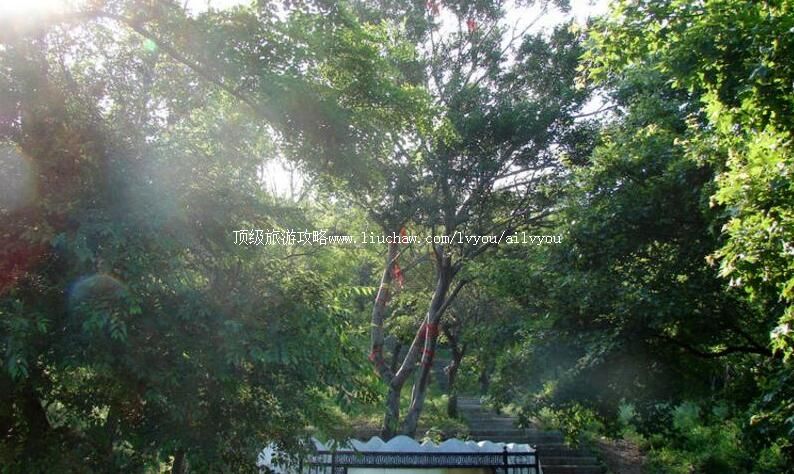 2A沈阳法库五龙山风景区旅游攻略