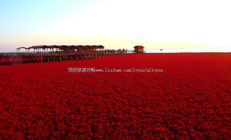 5A盘锦红海滩风景区旅游攻略