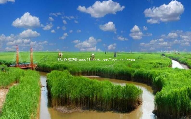 4A�̽�έ��������̬���������ι���