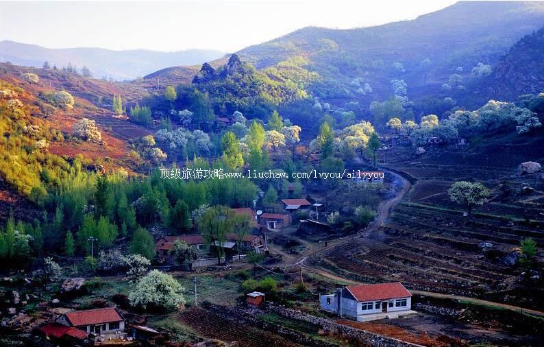 5A�����˻﹵ɭ�ֹ�԰���ι���