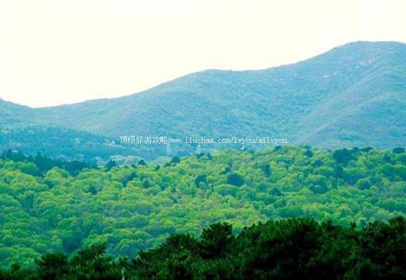 2A�����������羰�����ι���