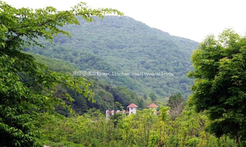 抚顺新宾岗山国家森林公园旅游攻略