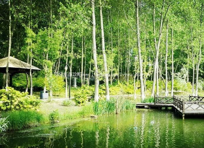 4A江苏淮安古淮河文化生态景区旅游攻略