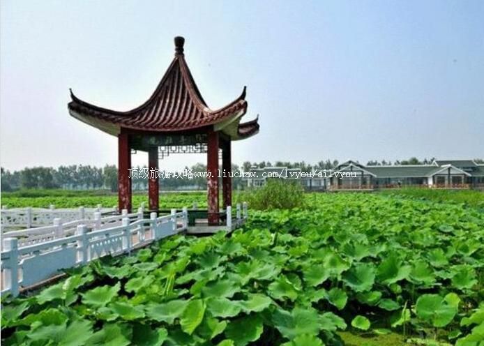 4A江苏淮安金湖荷花荡景区旅游攻略