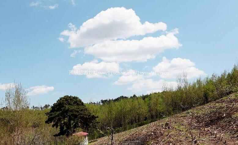 4A顺城房身千亩梨园旅游攻略