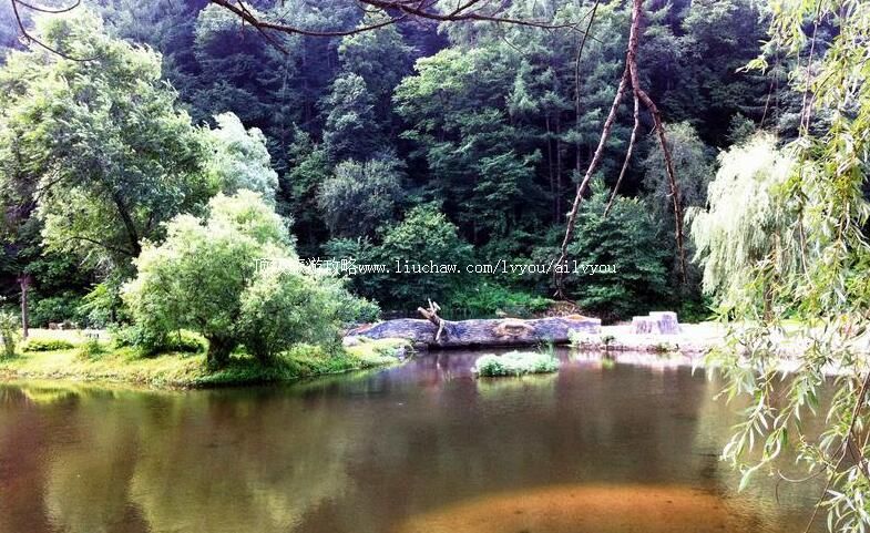 4A辽宁新宾和睦国家森林公园旅游攻略