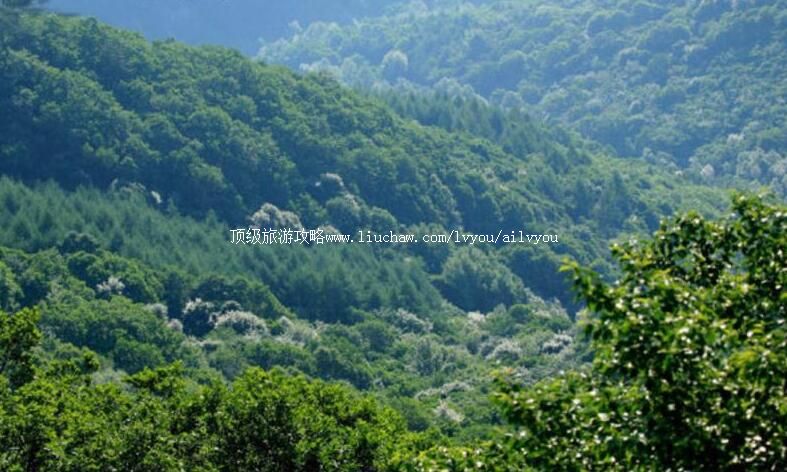 ������ʯ���ӹ��Ҽ���Ȼ���������ι���