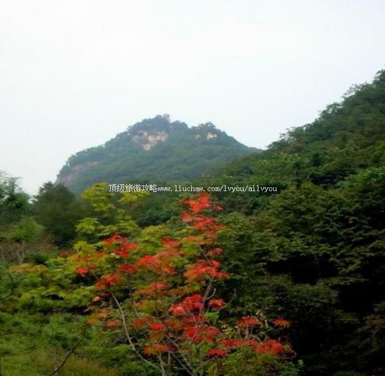 4A�����컪ɽ�羰��ʤ�����ι���