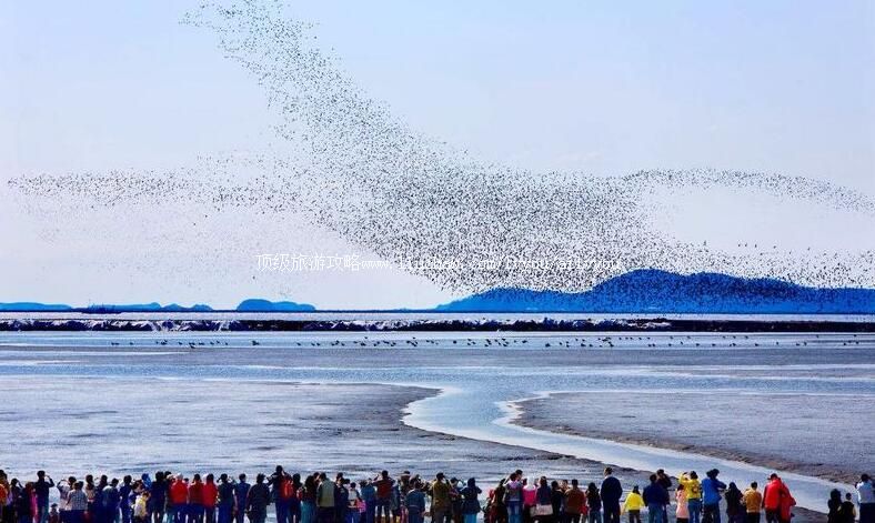 4A�������ɽ���ι���