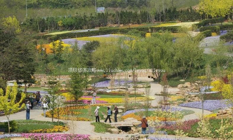 大连英歌石植物园旅游攻略