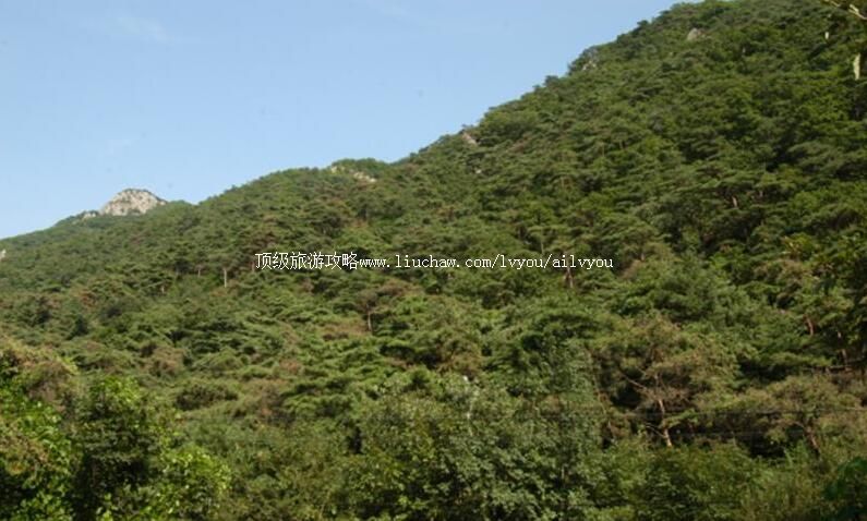 大连仙人洞国家级自然保护区旅游攻略