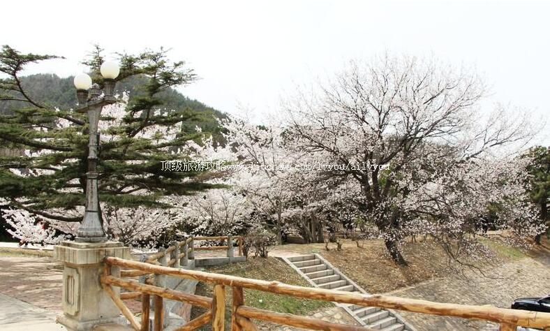 大连龙王塘水库旅游攻略