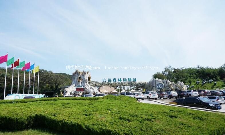 4A大连森林动物园旅游攻略